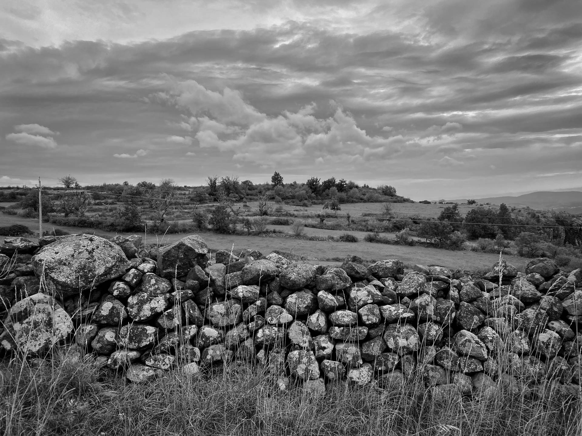 Snapseed (3)